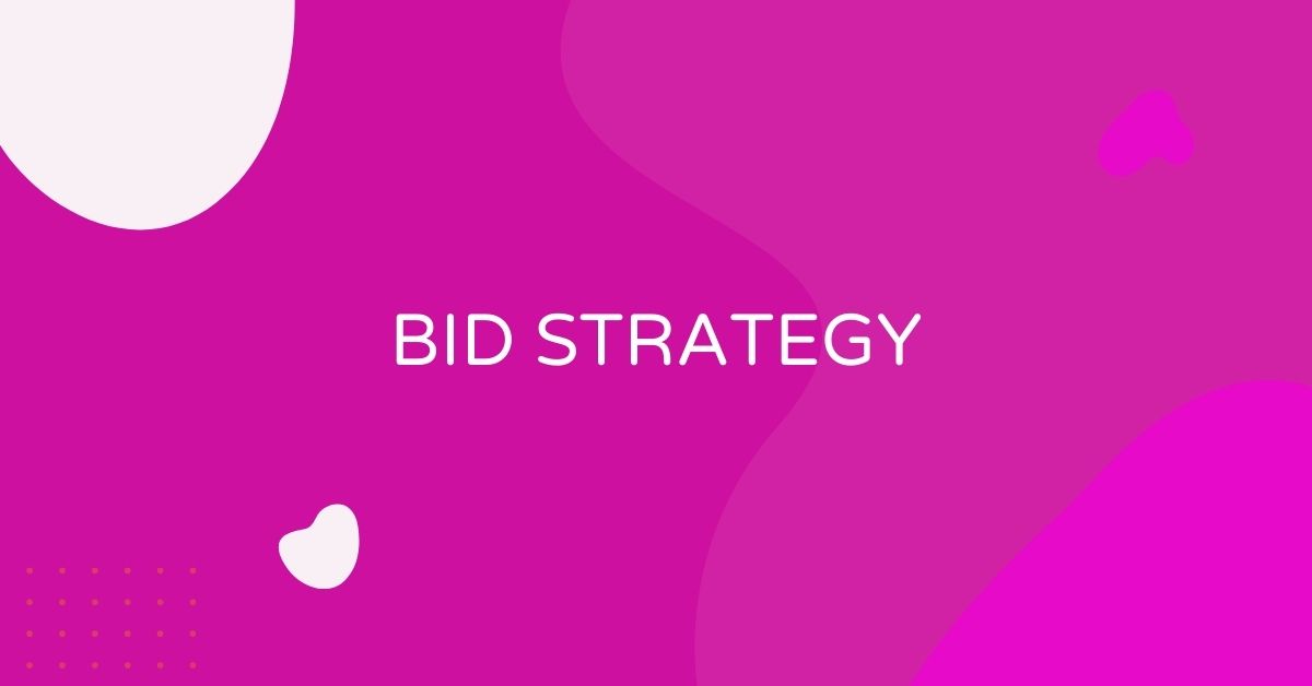 מה זה Bid Strategy?